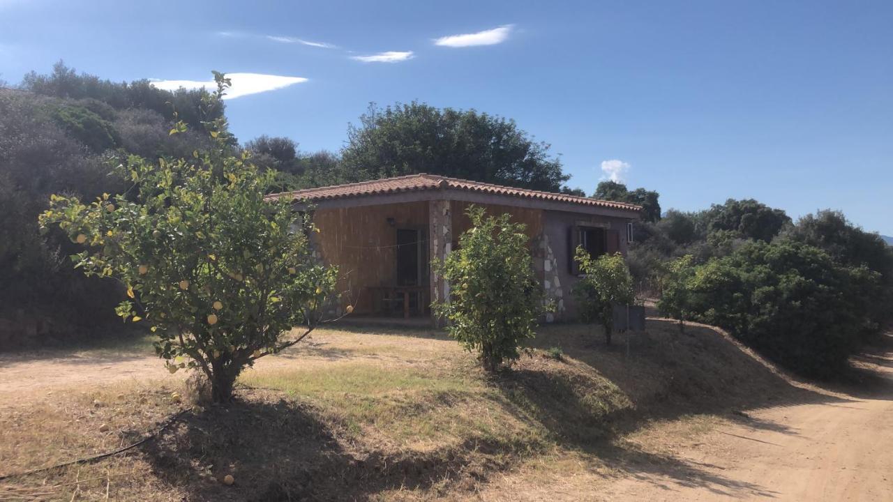 Is Bisus Guest House Castiadas Exterior photo